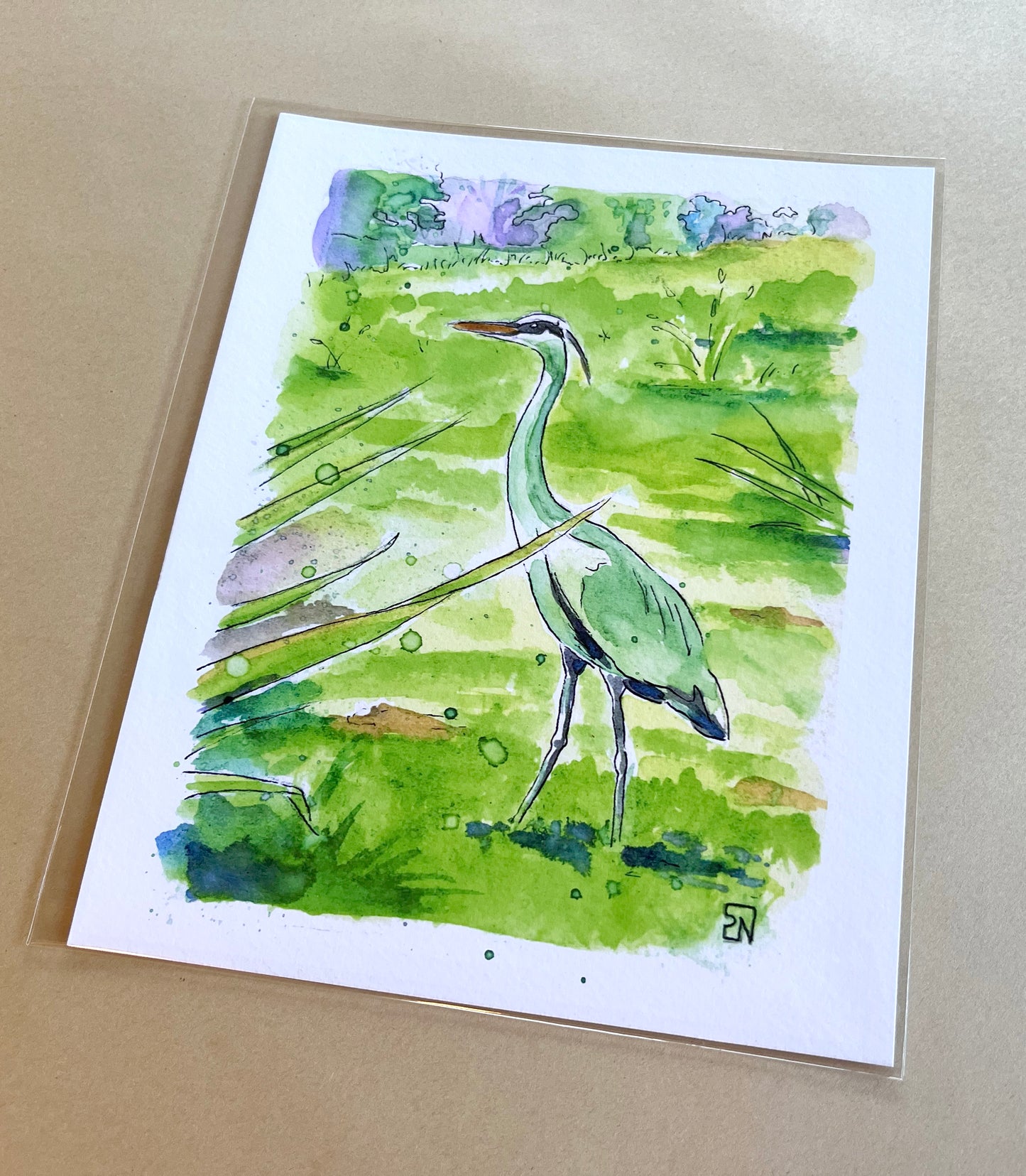 Unframed print - "Gray Heron on my lawn" 8x10