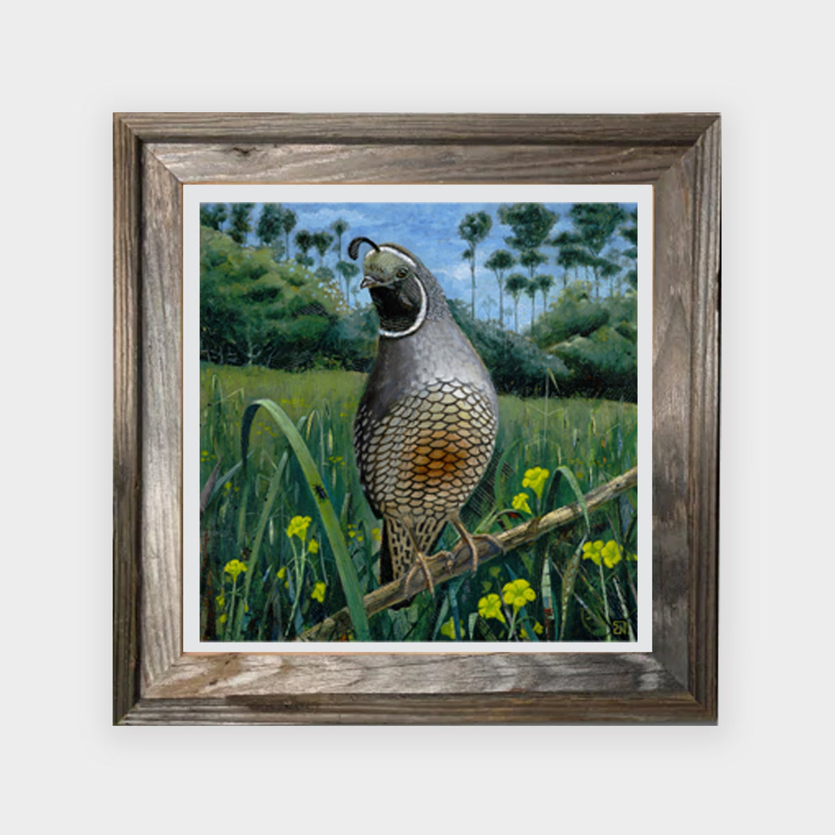 Framed Prints