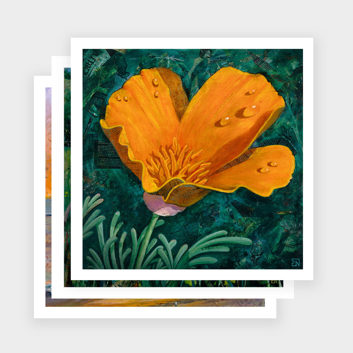 Unframed Prints