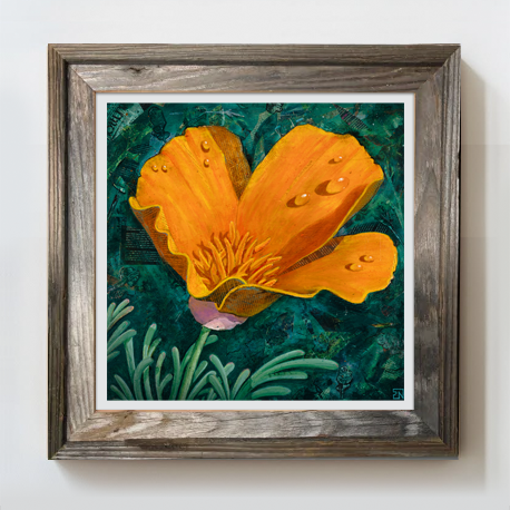 Framed print - "The Poppy" 12x12