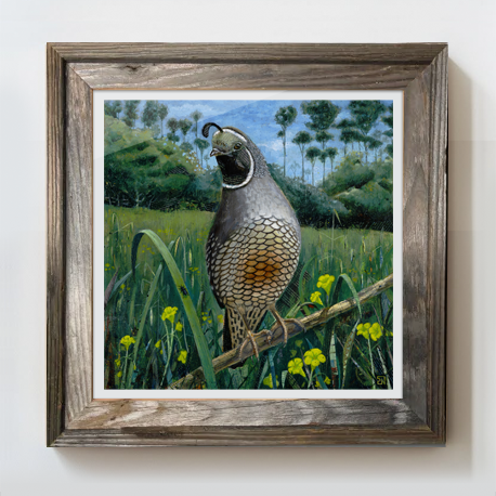 Framed print - "The Statesman" 12x12