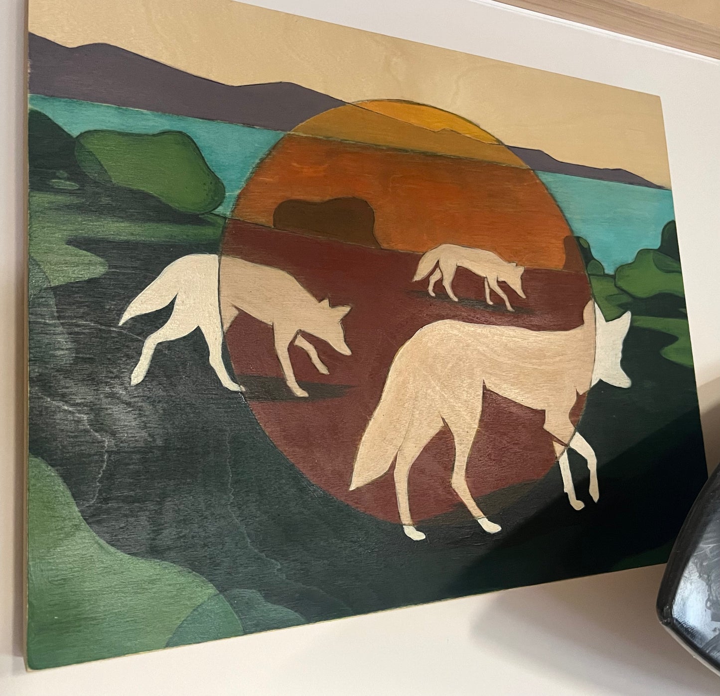 Coyotes of Moore Creek