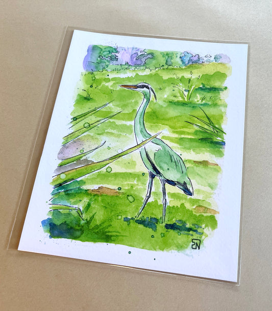 Unframed print - "Gray Heron on my lawn" 8x10