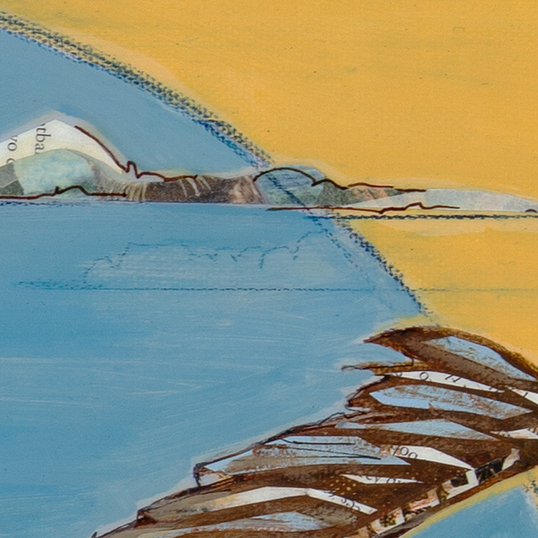 Framed print - "The Windsurfer" 12x12