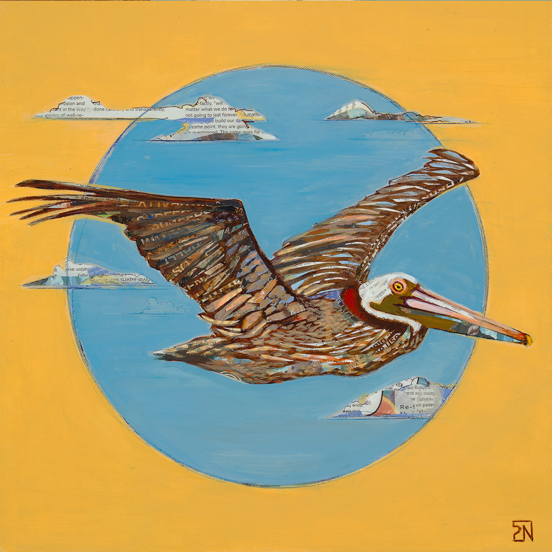 Framed print - "The Windsurfer" 12x12